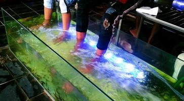 masaje de pies exótico en acuario por peces foto