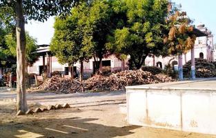 Wood kept in the park of the cremation ground photo