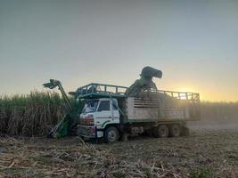 Sugar cane harvesting machine Loading sugarcane truck Productivity ready to sell photo