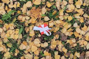 Gift box in autumn fallen leaves on ground in park photo