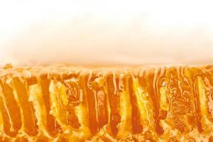 Honeycomb macro close up texture photo