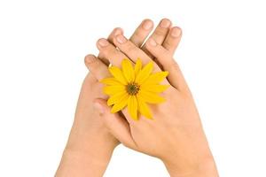 Yellow flower wedding ring jewelry on woman wrists, sunflower on female hands on white background photo