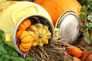 Colourful organic pumpkins and gourds on agricultural fair. Harvesting autumn time concept. Garden fall natural plant. Thanksgiving halloween decor. Festive farm rural background. Vegetarian food. photo