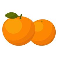 fresh natural orange fruit for asian chinese tradition vector