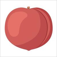 Fresh natural pink peach fruit tasty food fruit vector