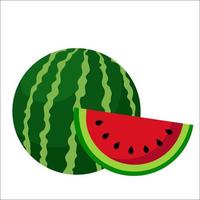 Fresh watermelon tropical fruit with slice of it juicy tasty food vector