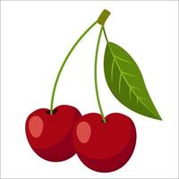 red cherry with branch fruit fresh tasty food vector
