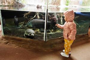 linda niña pequeña visitando el acuario del zoológico. foto
