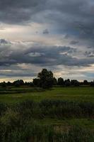 The summer Warta River with its backwaters photo