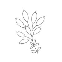 Outline plant decorative branch with leaves and berries for home decor, Christmas, New Year festive holiday arrangement, vector illustration for seasonal greeting card, invitation, banner