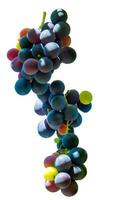 Multicolor wine grape. Copy space. Soft focus background photo