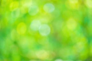 Abstract blur green leaf bokeh nature background photo