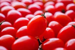 Red ripe organic tomato background photo