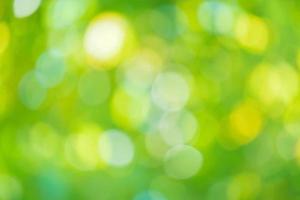 Abstract blur green leaf bokeh nature background photo