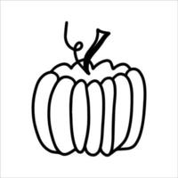 calabaza vegana cruda vectorial de halloween aislada en el icono de fondo blanco. ilustración graciosa y linda para diseño de temporada, textil, decoración de sala de juegos para niños o tarjeta de felicitación. impresiones dibujadas a mano y garabatos. vector