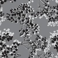 fondo transparente con ramas de hermosa silueta dibujada a mano gypsophila vector