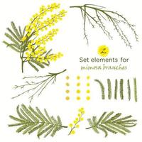 Set of hand-drawn elements for branches of mimosa vector