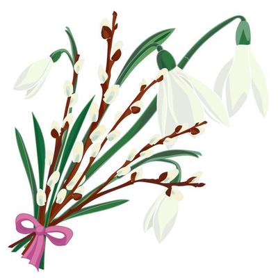 Spring floral background with beautiful snowdrop and pussy willow flower