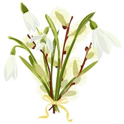 Spring floral background with beautiful snowdrop and pussy willow flower