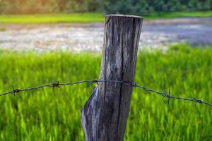 barbed wires are wires that are knotted at regular intervals. Each knot has a sharp tip. Used to make fences or obstacles. Soft and selective focus. photo