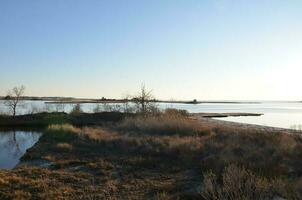 a lake or river with brown grasses and shore photo