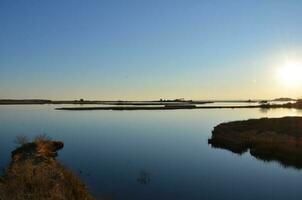 a lake or river with brown grasses and shore photo