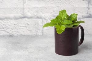 Fresh mint leaves in a Cup on a grey table with copy space. photo