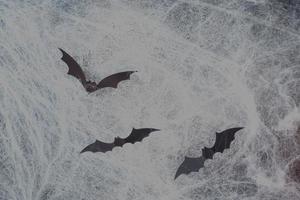 concepto de Halloween. murciélagos de papel negro sobre un fondo oscuro cubierto de telarañas foto