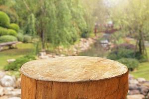 tapa de tocón de árbol con fondo borroso de jardín foto