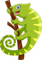 Cartoon chameleon on a branch vector