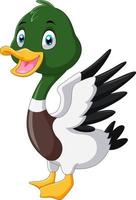 linda sonrisa de pato mallard de dibujos animados vector