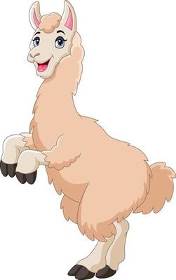 A Cute cartoon llama happy