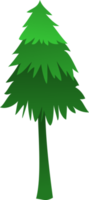 árbol de pino png