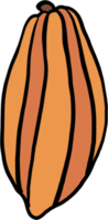 doodle freehand sketch drawing of cacao fruit. png