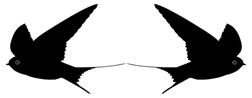Paar der fliegenden Schwalbenvogelsilhouette für Logo, Piktogramm, Website. Kunstillustration oder Grafikdesignelement. PNG-Format png