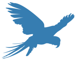 Flying Macaw Bird Silhouette for Logo, Pictogram, Art Illustration, Website or Graphic Design Element. Format PNG