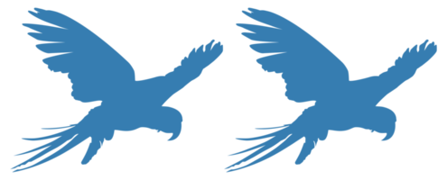 Flying Pair of the Macaw Bird Silhouette for Logo, Pictogram, Art Illustration, Website or Graphic Design Element.  Format PNG