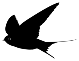 silhueta de pássaro de andorinha voadora para logotipo, pictograma, site. ilustração de arte ou elemento de design gráfico. formato png