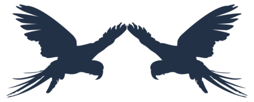 vliegend paar- van de ara vogel silhouet voor logo, pictogram, kunst illustratie, website of grafisch ontwerp element. formaat PNG