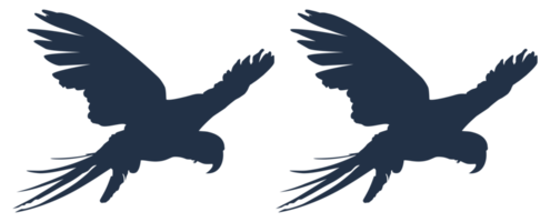 paire volante de la silhouette d'oiseau ara pour le logo, le pictogramme, l'illustration d'art, le site Web ou l'élément de conception graphique. formatpng png