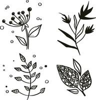 Wild flowers. Samples. White background and illustration card vector