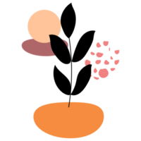 ilustração botânica boho png