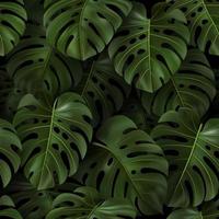 Botanical illustration with tropical green 3D leaves Monstera on dark background. Realistic seamless pattern for textile, hawaiian style, wallpaper, sites, card, fabric, web design. Vector template.