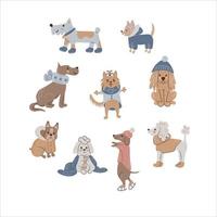 Dog in cloth set vector