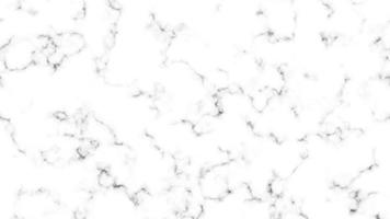 Marble texture background white black pattern vector