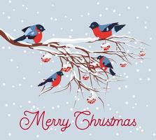 Bullfinch sitting on snow-covered branch of mountain ash. Christmas and New Year design greeting cards vector