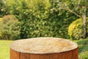 tree stump top with garden blurred background photo