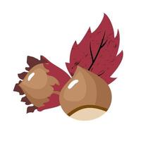 Hazelnut with a leaf . vector