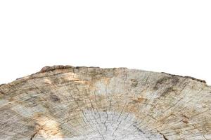 tree stump isolated on white background photo