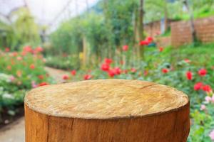 tapa de tocón de árbol con fondo borroso de jardín foto